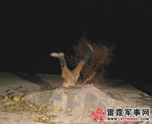 ������ģ���ս���������ҵļ����ձ�����